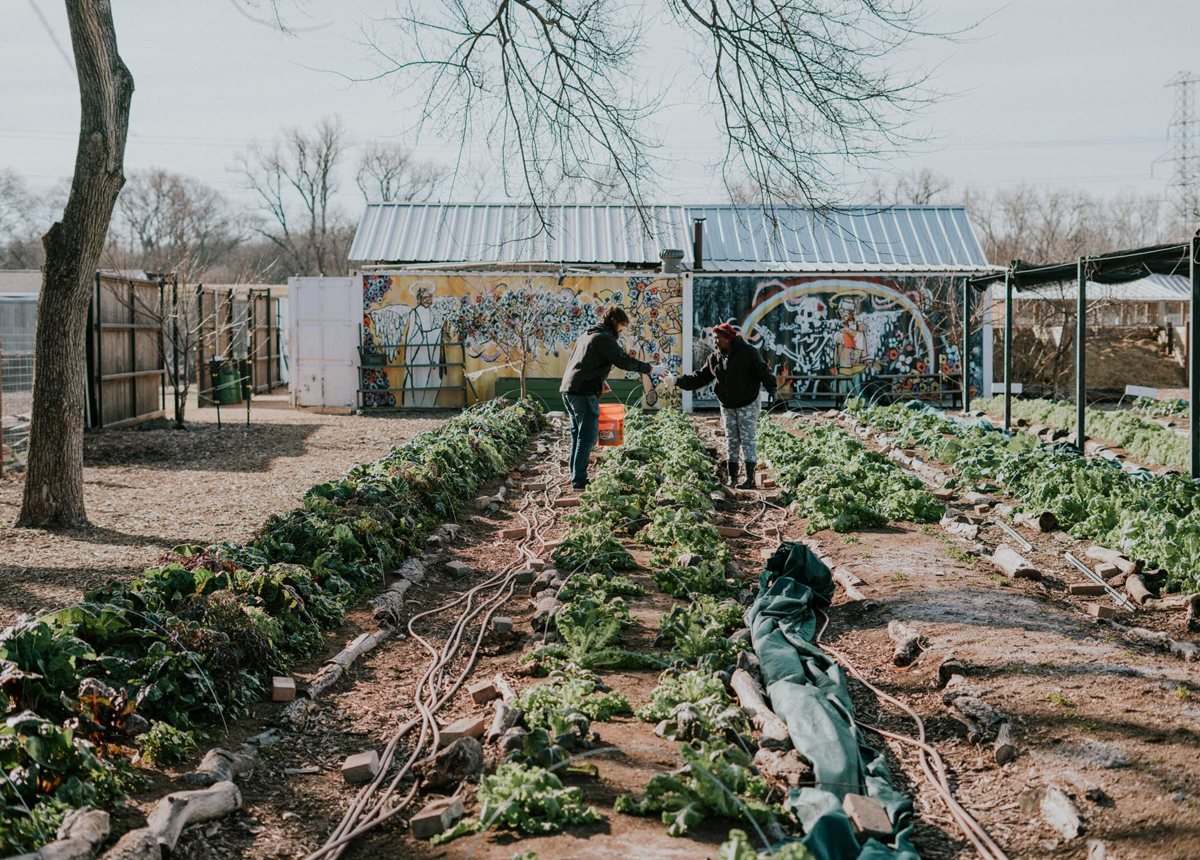 https://usa-pepsicoredesign-global-prod.pepext.com/images/default-source/stories/bonton-farms-black-changemaker---stories_story-hero-image-1200x860.png