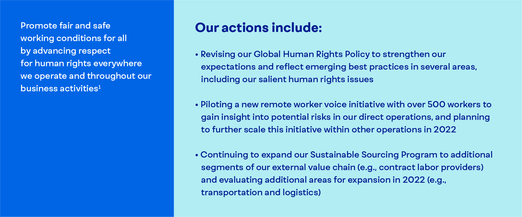 Promote fair and safe working conditions for all by advancing respect for human rights everywhere we operate and throughout our business activities [footnote 1]