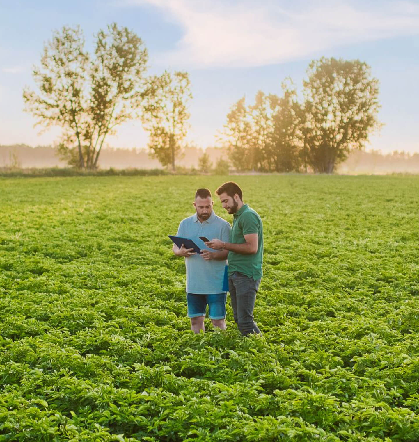 Farmers in a field reviewing data